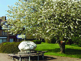 Ardgay - clach eiteach